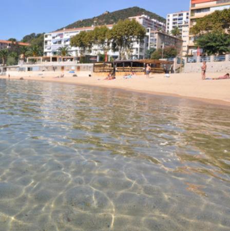 Appartement 50M2 Pied Dans L'Eau Ajaccio  Bagian luar foto